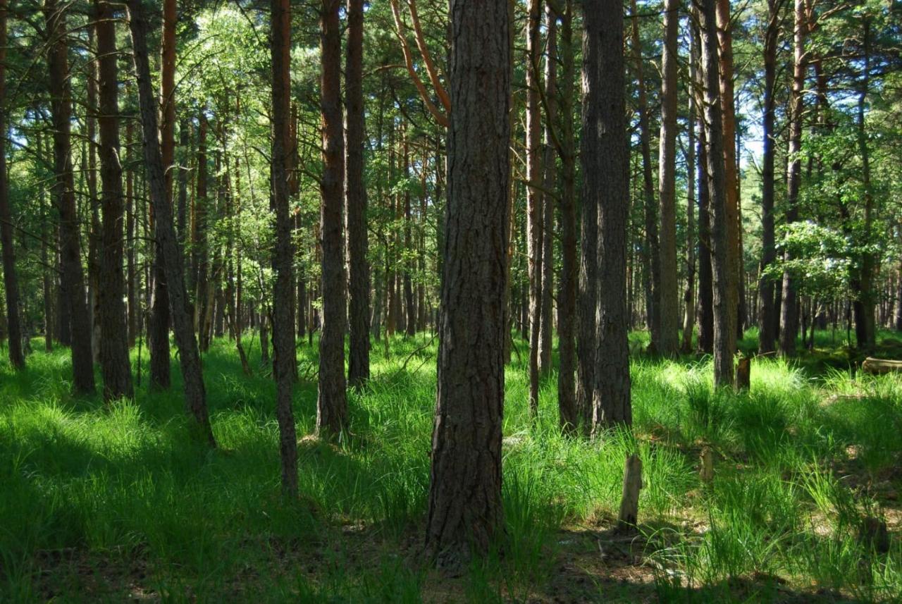 Вилла Z Widokiem Na Wydme Lokciowe Экстерьер фото